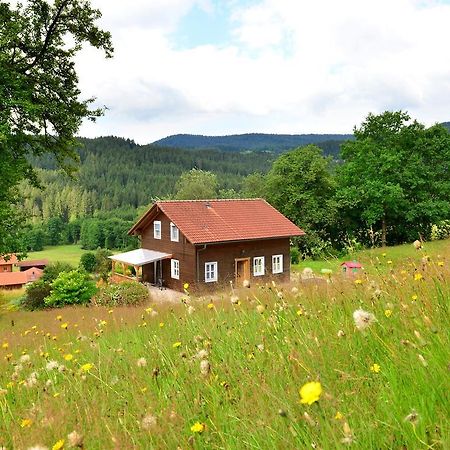 Comfort Apartment With Balcony In The Beautiful Bavarian Forest Drachselsried Εξωτερικό φωτογραφία