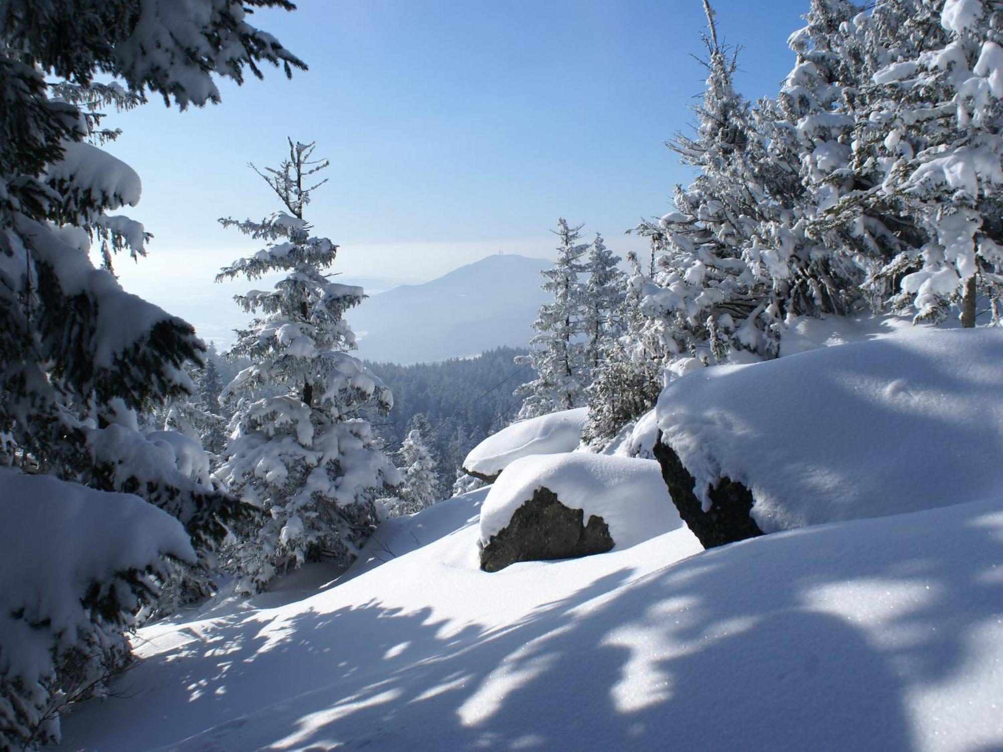 Comfort Apartment With Balcony In The Beautiful Bavarian Forest Drachselsried Εξωτερικό φωτογραφία