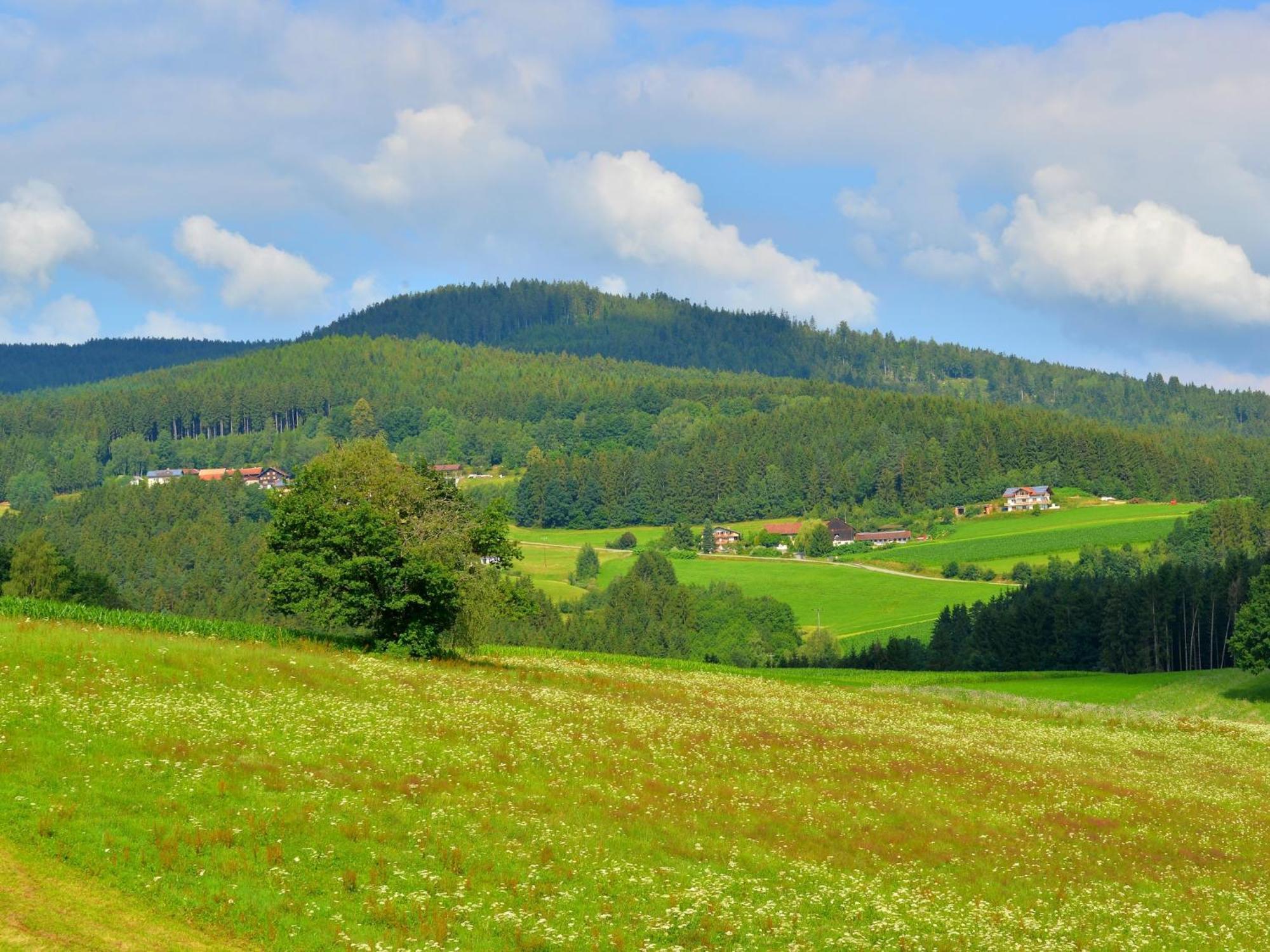 Comfort Apartment With Balcony In The Beautiful Bavarian Forest Drachselsried Εξωτερικό φωτογραφία