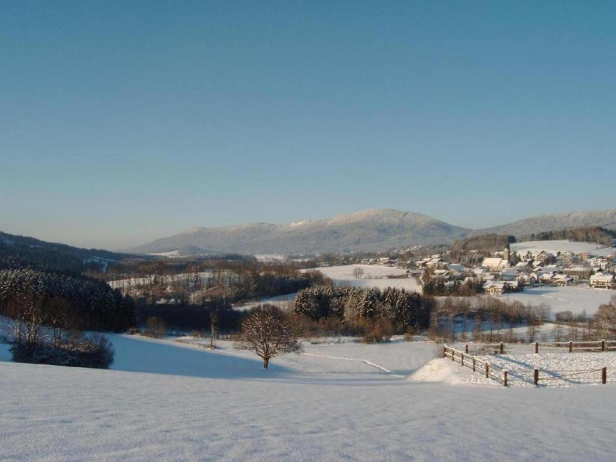 Comfort Apartment With Balcony In The Beautiful Bavarian Forest Drachselsried Εξωτερικό φωτογραφία