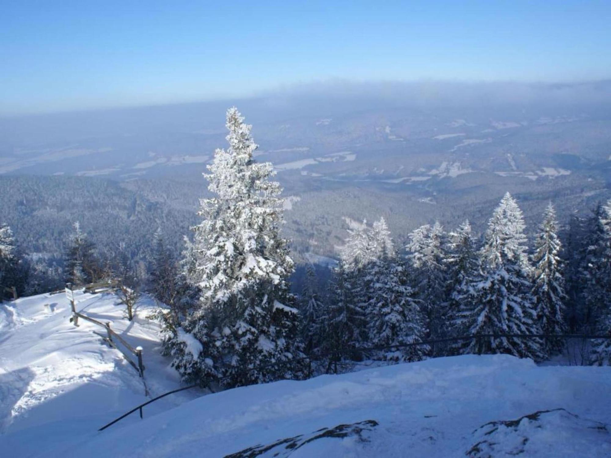 Comfort Apartment With Balcony In The Beautiful Bavarian Forest Drachselsried Εξωτερικό φωτογραφία