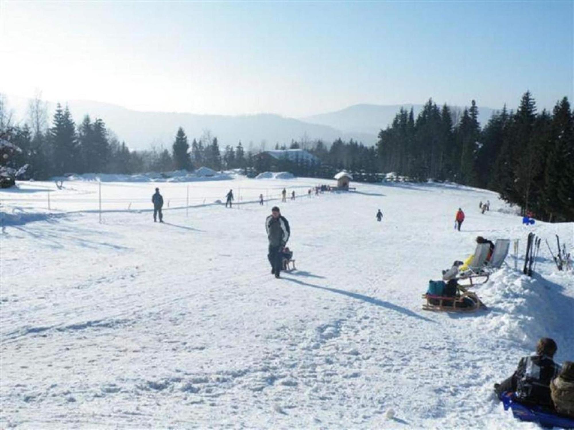 Comfort Apartment With Balcony In The Beautiful Bavarian Forest Drachselsried Εξωτερικό φωτογραφία
