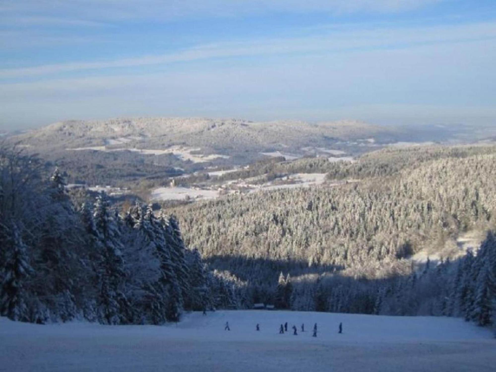 Comfort Apartment With Balcony In The Beautiful Bavarian Forest Drachselsried Εξωτερικό φωτογραφία