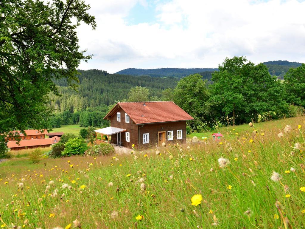 Comfort Apartment With Balcony In The Beautiful Bavarian Forest Drachselsried Εξωτερικό φωτογραφία